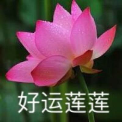 02版要闻 - 弘扬“上海精神”深化友好合作（大使随笔）